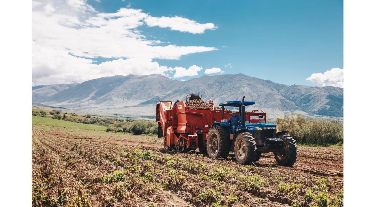 La Pasión por la tierra y los sueños hechos realidad en Papas Tafí 