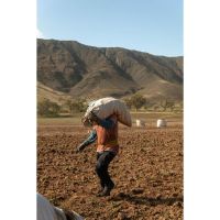La Pasión por la tierra y los sueños hechos realidad en Papas Tafí