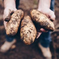 La Pasión por la tierra y los sueños hechos realidad en Papas Tafí 