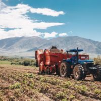 La Pasión por la tierra y los sueños hechos realidad en Papas Tafí