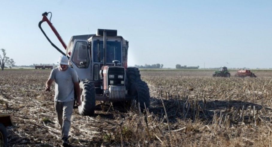 Sector Agropecuario