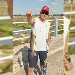 El dique Cascallares es una represa auxiliar de la de Roggero, en Moreno, Provincia de Buenos Aires. Su construcción se realizó para regular el cauce del Río Reconquista.