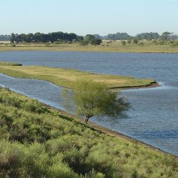El dique Cascallares es una represa auxiliar de la de Roggero, en Moreno, Provincia de Buenos Aires. Su construcción se realizó para regular el cauce del Río Reconquista.
