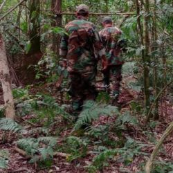 A pesar de los operativos cerrojos, no pudieron dar con los sospechosos.