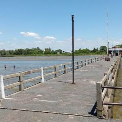 Buen momento con dorados activos, bogas con salamín, manduvas de linda talla y presencia de algunas carpas grandes pescando sobre el propio cajón de pesca entre los clubes.