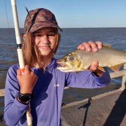 Buen momento con dorados activos, bogas con salamín, manduvas de linda talla y presencia de algunas carpas grandes pescando sobre el propio cajón de pesca entre los clubes.