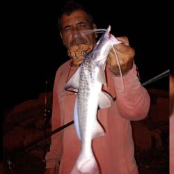 Buen momento con dorados activos, bogas con salamín, manduvas de linda talla y presencia de algunas carpas grandes pescando sobre el propio cajón de pesca entre los clubes.