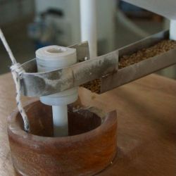 Fincas El Paraíso: un legado de compromiso con la naturaleza y la calidad | Foto:CEDOC