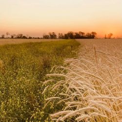 Fincas El Paraíso: un legado de compromiso con la naturaleza y la calidad | Foto:CEDOC