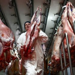 Un carnicero descarga de un camión de reparto los cadáveres de ovejas preparadas para ser vendidas en Smithfield Market, el mercado de carne de Londres, en el centro de la ciudad. | Foto:HENRY NICHOLLS / AFP