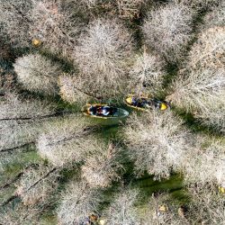 Vista aérea tomada con un dron de personas remando entre los árboles en el Parque de Humedal Haihong, en Kunming, en la provincia de Yunnan, en el suroeste de China. | Foto:Xinhua/Chen Xinbo