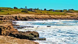 0502_PLAYAS