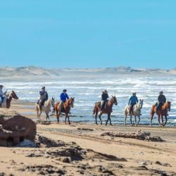 El programa Moro Famoso comienza atravesando potreros para alcanzar el mar.