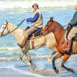 El programa Moro Famoso comienza atravesando potreros para alcanzar el mar.