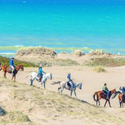 El programa Moro Famoso comienza atravesando potreros para alcanzar el mar.