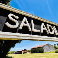 A 180 km de CABA, Saladillo tiene muchas actividades durante febrero.