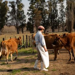 A 180 km de CABA, Saladillo tiene muchas actividades durante febrero.