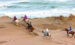 Un verano distinto: al galope por los médanos costeros