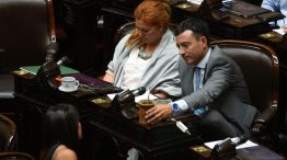 Sesión de la Cámara de Diputados para suspender las PASO