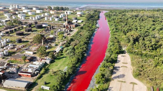 Alarmante: un arroyo del Conurbano amaneció teñido de rojo