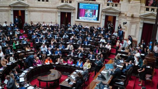 Diputados: sesión para tratar la suspensión de las PASO 20250206