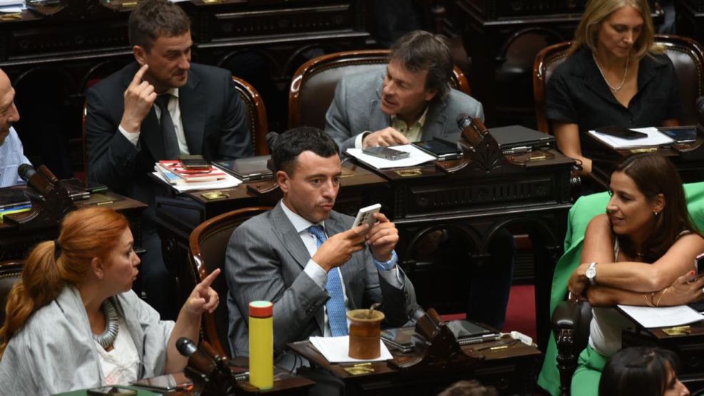 Sesión de la Cámara de Diputados para suspender las PASO