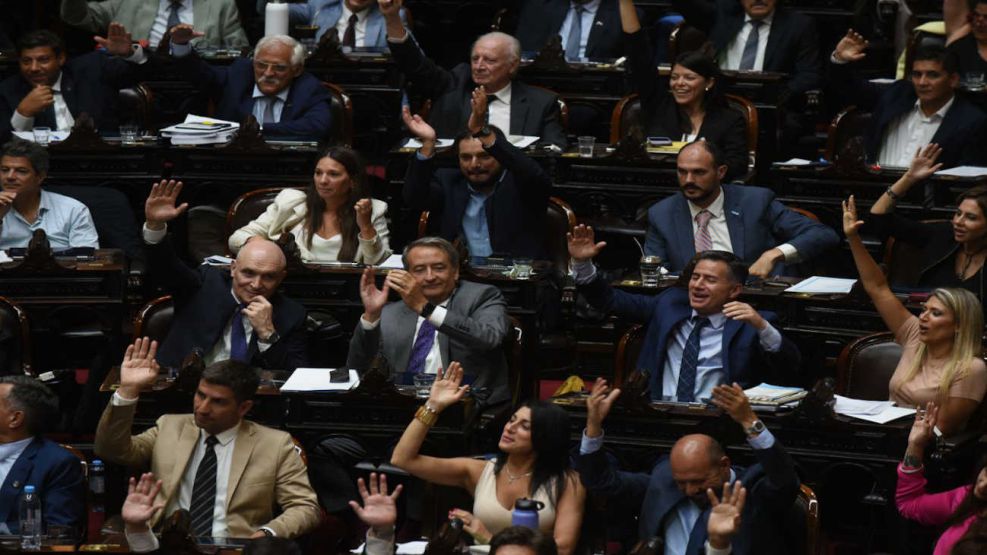 El Gobierno logró media sanción en Diputados al proyecto para suspender las PASO