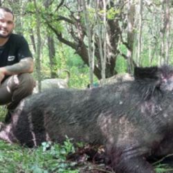 Las autoridades de la provincia mostraron su apoyo a esta práctica, argumentando que es necesaria para controlar la población de esta especie considerada plaga,