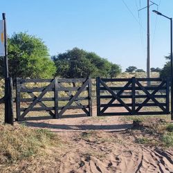 Las últimas temporadas los resultados han sido muy buenos, con capturas sobresalientes. Además, es uno de los pocos lugares de la provincia de San Luis que apuestan por las lagunas y la pesca deportiva. Muchos diques se encuentran en estado de total abandono.