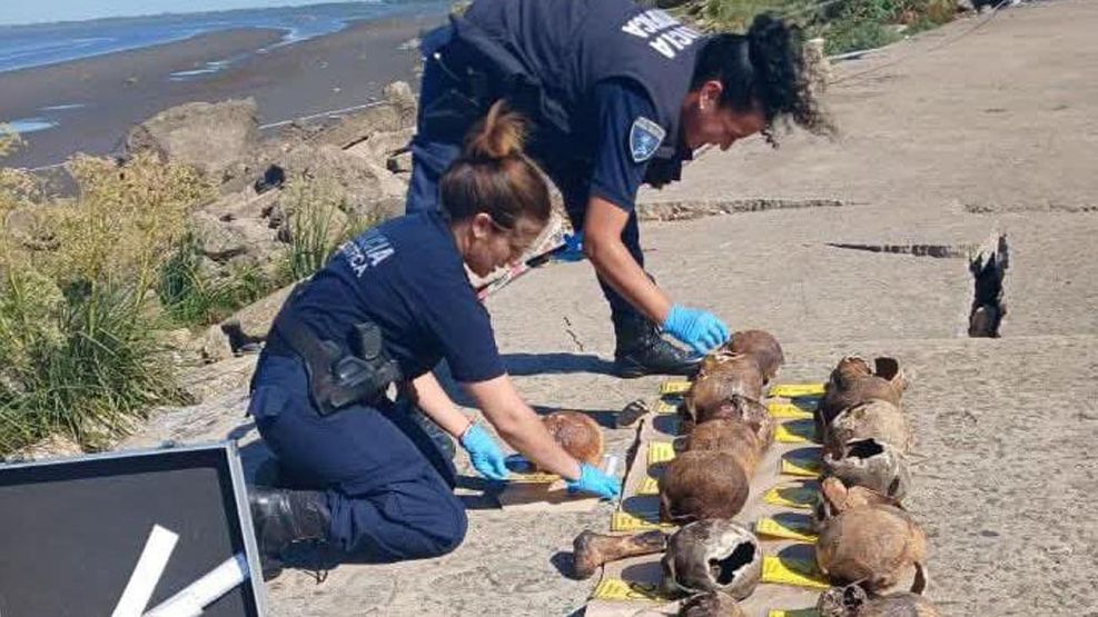 Cráneos humanos en Quilmes