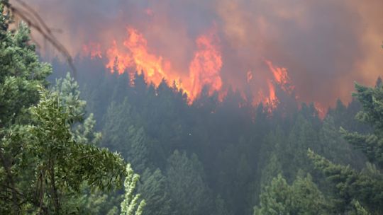 El Bolsón desespera al ver el fuego en sus ventanas: "Estamos en un caos total"