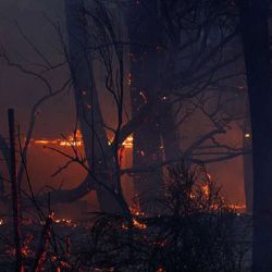 El fuego sigue arrasando con la Amazonia.