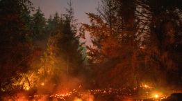 Incendios en la Patagonia