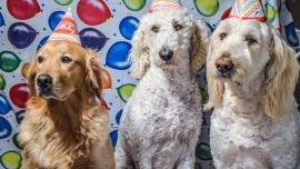 Hijos: caída de la natalidad y deseo sin raíces