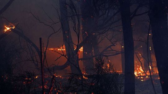 Incendios forestales: ya se quemaron 37.618 hectáreas en la Patagonia