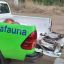 1002_furtivos