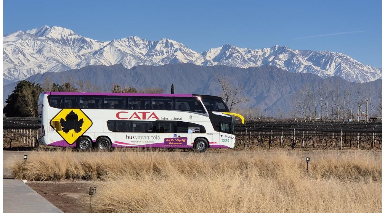 Bus Vitivinícola: la imperdible experiencia para recorrer los Caminos del Vino de Mendoza  