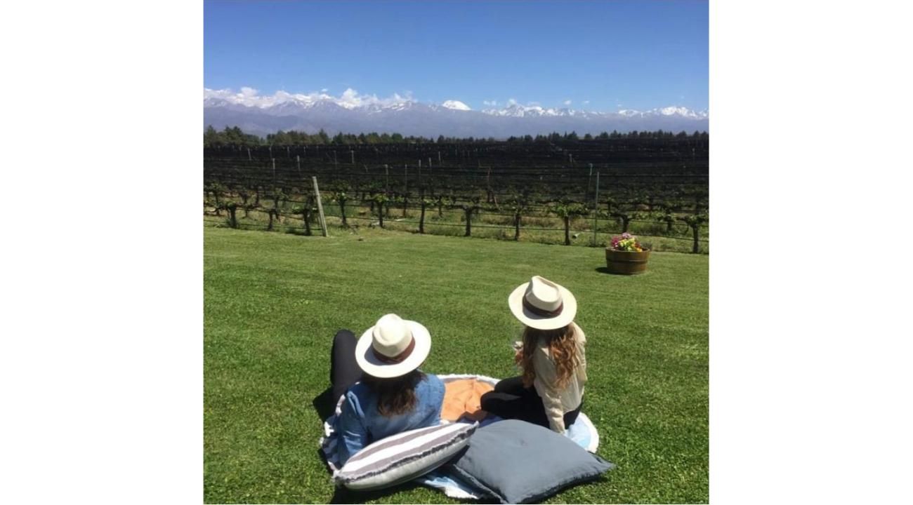 Bus Vitivinícola: la imperdible experiencia para recorrer los Caminos del Vino de Mendoza  