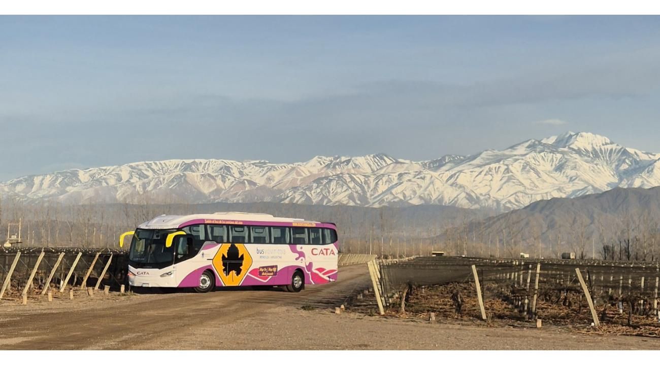 Bus Vitivinícola: la imperdible experiencia para recorrer los Caminos del Vino de Mendoza  