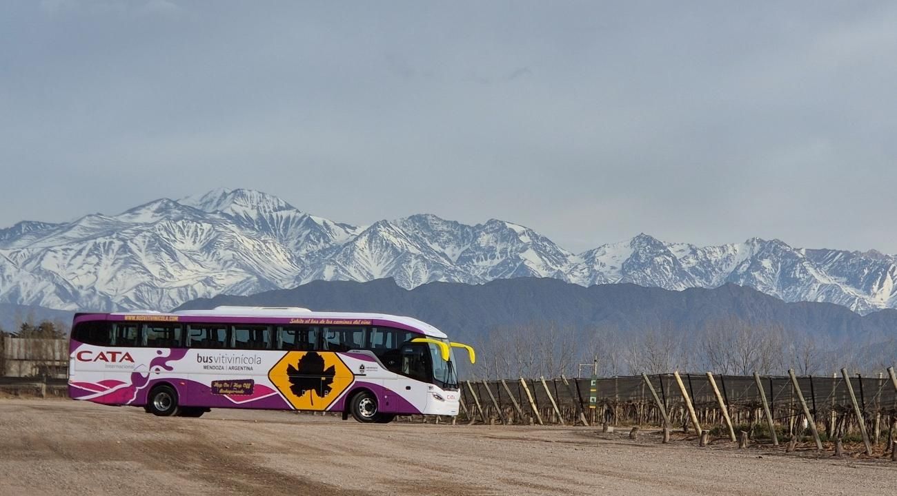 Bus Vitivinícola: la imperdible experiencia para recorrer los Caminos del Vino de Mendoza  