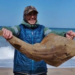 El pez violín, una especie en declive y poco estudiada, se convirtió en el protagonista inesperado de este nuevo proyecto. (Foto: Marcelo Arias)