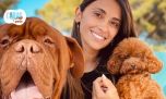 Cuáles son las tres razas de los perros de Lionel Messi y Antonela Roccuzzo