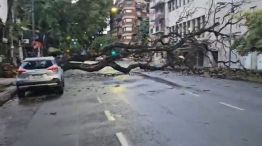 Miles de usuarios sin luz tras el temporal en el AMBA 20250211