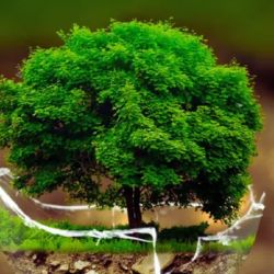 onocido como “el Premio Nobel del Medio Ambiente”, es considerado una de las distinciones ambientales anuales más prestigiosas del mundo