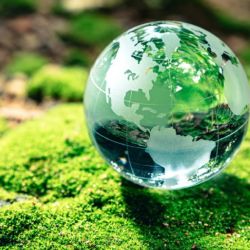 Fue premiada por su gran compromiso con el abordaje de la pérdida de biodiversidad y su impacto en las sociedades humanas.