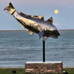 El evento central de la Fiesta del Róbalo fue la competencia pesquera, pero hubo una variada oferta de actividades para toda la familia.