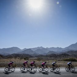 El grupo de ciclistas avanza durante la cuarta etapa del Tour de Omán, desde el Museo Oman Across Ages hasta el Centro de Convenciones y Exposiciones de Omán. | Foto:LOIC VENANCE / AFP