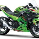 Kawasaki Ninja 500