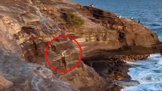 Un turista argentino murió en Hawái tras saltar al agua desde un acantilado de 18 metros de altura