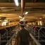 Dollar-hungry Milei pauses crop tariffs ahead of Argentine vote